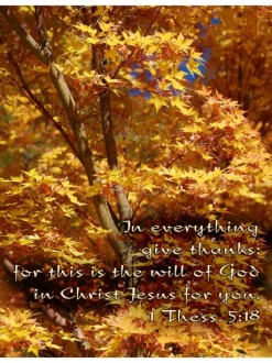 Red and Gold Trees with Thessalonians
