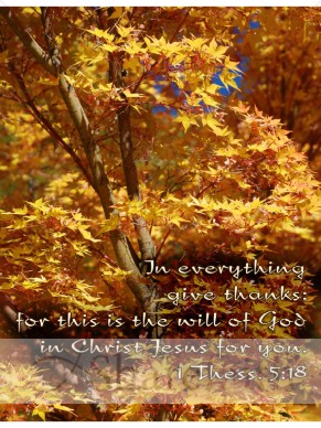 Red%20and%20Gold%20Trees%20with%20Thessalonians