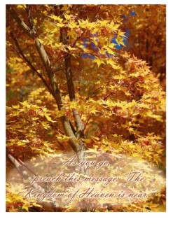 Yellow and Red Leaves with Matthew 10:7