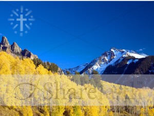 Yellow%20Aspen%20with%20Blue%20Sky%20and%20Cross