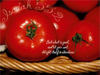 Bright Red Tomatoes with Isaiah 55:2