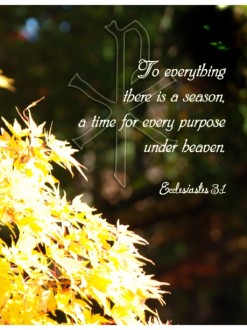 Yellow Leaves with Chi Rho and Ecclesiastes