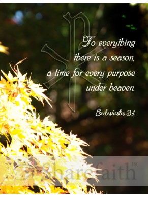 Yellow%20Leaves%20with%20Chi%20Rho%20and%20Ecclesiastes