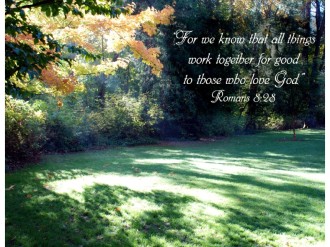 Fall Sunshine and Greenery and Romans Verse