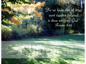 Fall Sunshine and Greenery and Romans Verse