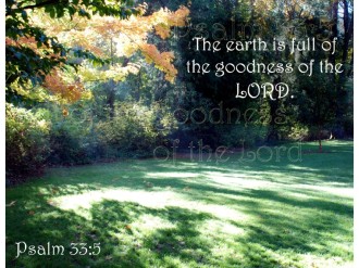 Sunny Clearing in Fall with Psalm