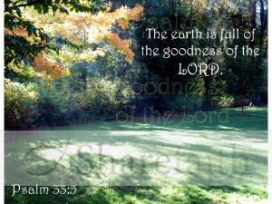 Sunny%20Clearing%20in%20Fall%20with%20Psalm