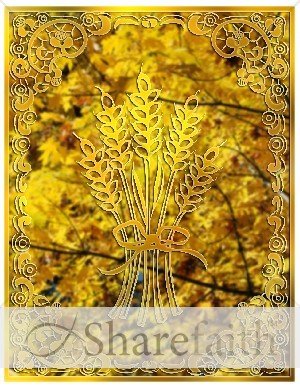 Harvest Wheat Bulletin Cover