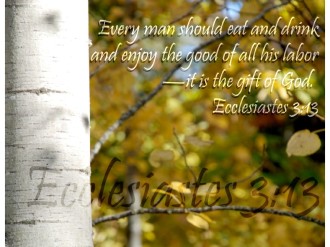 Birch Trunk in Fall with Ecclesiastes