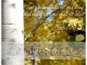 Birch Trunk in Fall with Ecclesiastes
