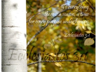 Birch%20with%20Falling%20Leaves%20and%20Ecclesiastes