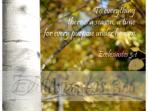 Birch with Falling Leaves and Ecclesiastes