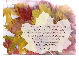Jesse and a Branch Quote on Fall Leaves