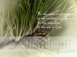 Pine Cone and Romans Verse