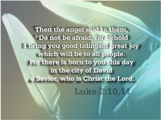 Feathers and Words of an Angel