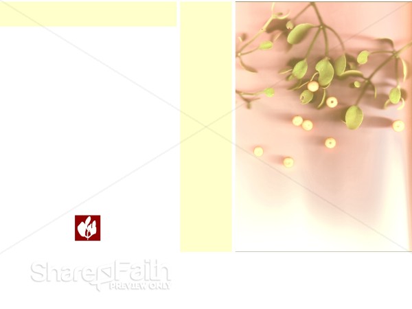 Mistletoe with Gold and Pink Background