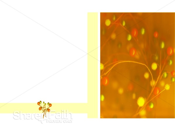 Christmastime