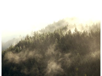Golden%20Mist%20on%20the%20Mountainside