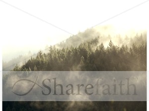 Golden Mist on the Mountainside