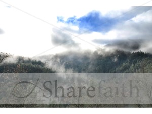 Snow%20Tipped%20Trees%20and%20a%20Mist