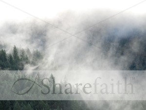 Heavy%20Mist%20Covering%20Trees