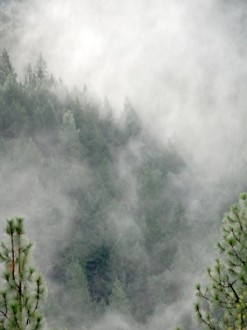 Heavy%20Mist%20on%20the%20Mountainside