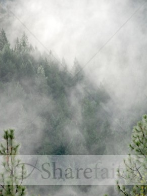Heavy%20Mist%20on%20the%20Mountainside