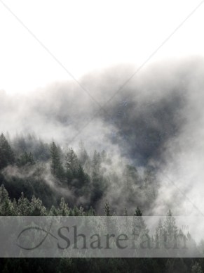 Forest%20with%20Mist%20in%20the%20Background