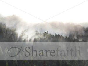 Forest%20and%20Fog%20in%20Nature