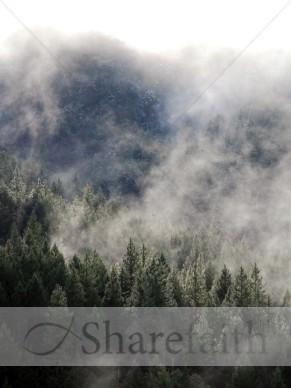 Mystical%20Scene%20in%20the%20Forest