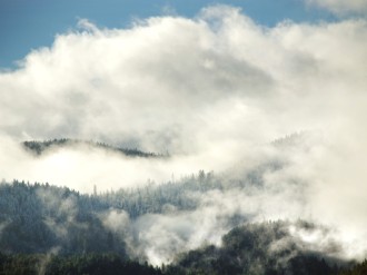 Clouds and Fog Over the Forest