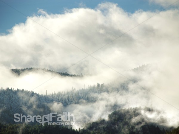Clouds%20and%20Fog%20Over%20the%20Forest