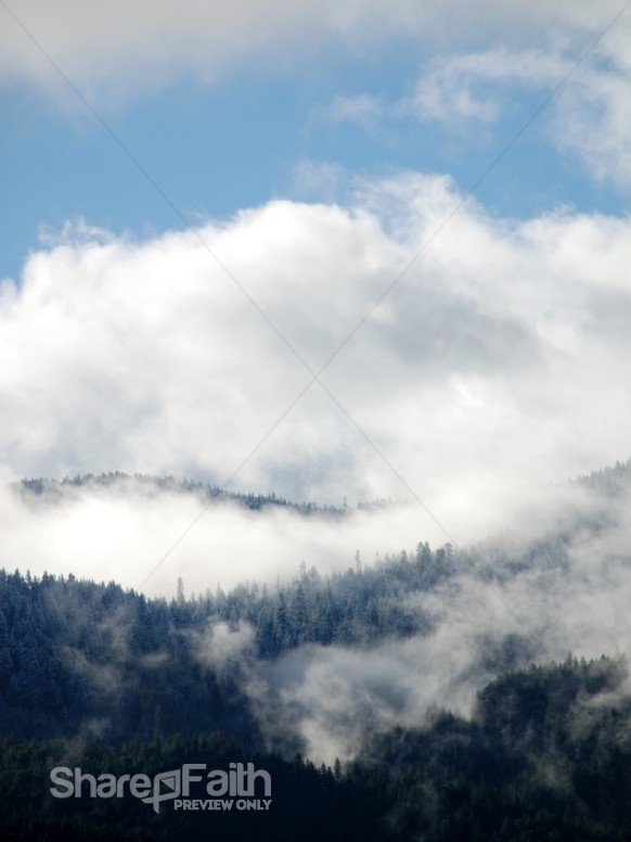 Winter%20in%20the%20Forest