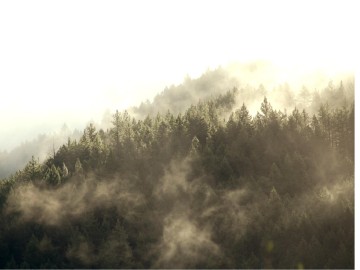 Misty%20Mountains%20and%201%20John%20Verse