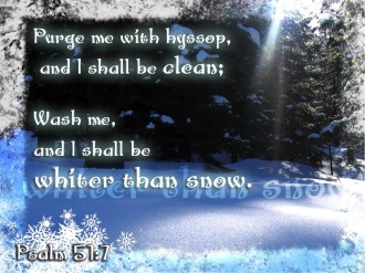 Snowy%20Trees%20with%20Ray%20and%20Psalm