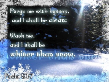 Snowy Trees with Ray and Psalm