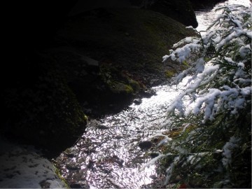 River%20with%20Martin%20Luther%20King%20Quote