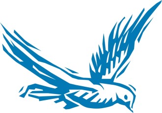 Blue Dove Soaring