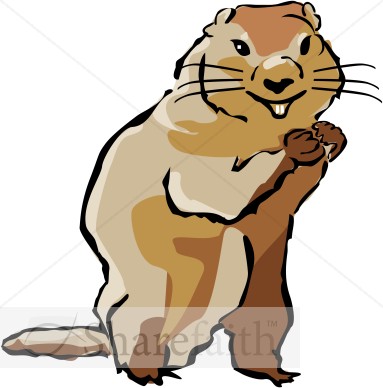 Groundhog in Color