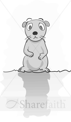 Groundhog in Gray