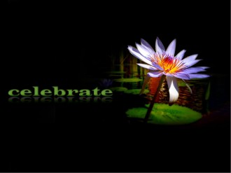Celebrate