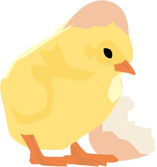 Baby Chick and Cracked Egg