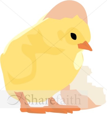 Baby Chick and Cracked Egg clip art easter chicken. Baby Chick and Cracked Egg