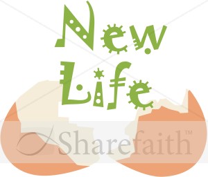New Life and Broken Egg Shell