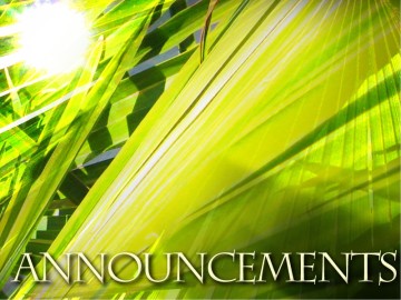 The Triumphal Entry