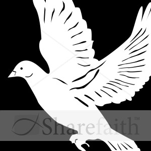 White%20Dove%20on%20Black%20Background