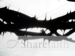 Crown%20of%20Thorns%20with%20Shadows