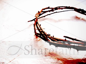 Crown%20of%20Thorns%20in%20Color