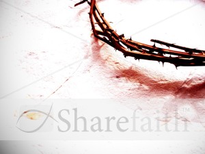 Crown of Thorns in a Corner