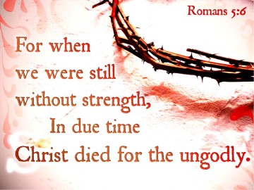 Sinless%20Sacrifice